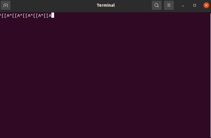 terminal.png